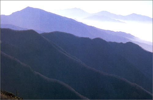 첩첩 유장한 지리산 연봉. 그 깊은 산 주름으로 하여 지리산은 한국인 모두에게 그리움의 산이 되는 건 아닐지.