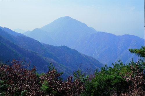 장룡산 북릉에서 금천계곡 건너로 본 서대산.