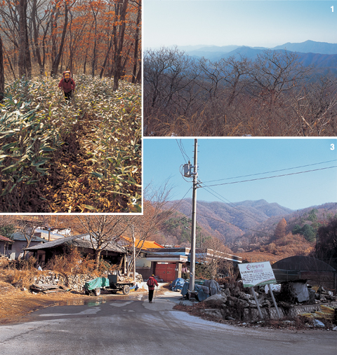 [특별부록지도가이드] 장안산 < Season Special < 테마산행 < 기사본문 - 월간산 [특별부록지도가이드] 장안산