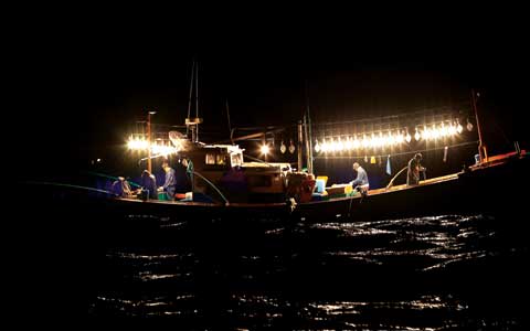 도두항에서 화순항으로 향하는 야간항해 중 만난 갈치잡이 어선. 갈치는 집어등을 대낮처럼 밝히고 낚시로 잡는다. 뱃전에 길게 드리워진 것들이 낚싯대다.
