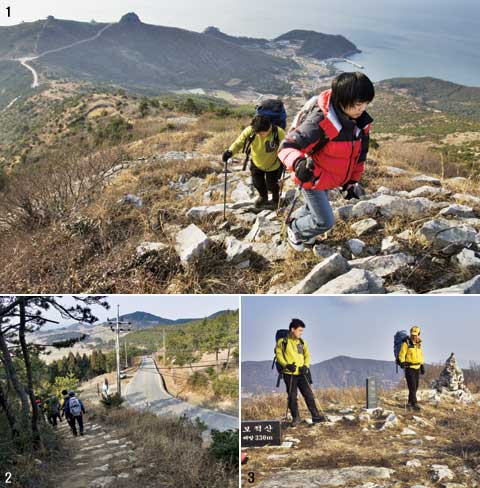 대선산