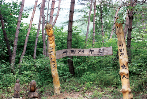 [옛길을 찾아서 ] 원주 싸리재 - 원주 신림면~석기동까지 6.7㎞, 김삿갓·궁예 등도 지났던 유서 깊은 길