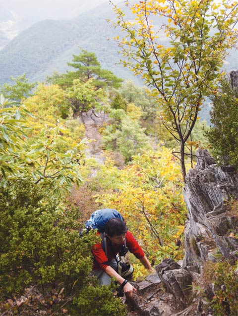 [개척산행 | 백운산~만지산 종주] 점재~백운산~푯대봉~만지산~상만지... 백운산~만지산 종주] 점재~백운산~푯대봉~만지산~상만지 11.7km