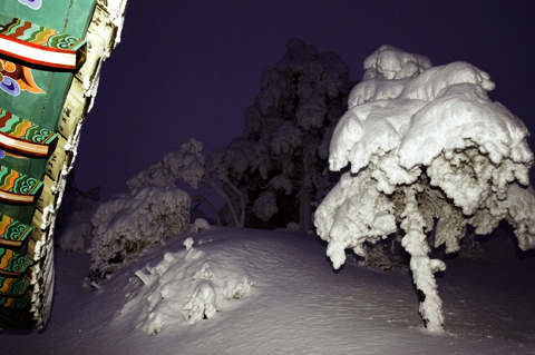 밤의 용정비각 처마와 ‘상고대 나무’. 