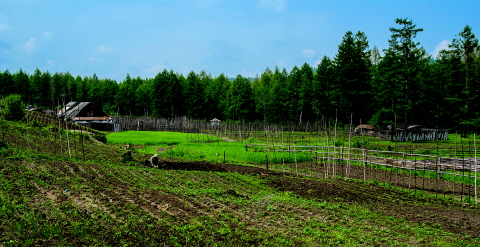 대노은산 등산로 입구 주변에 있는 농장에서 감자·상추 등 다양한 밭작물을 기르고 있다. 
