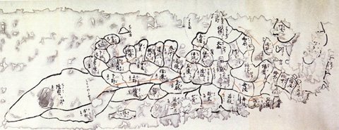 일본에서 가장 오래된 전국지도인 닌나지(仁和寺) 소장본인 행기식 일본지도. 지도를 그린 종이의 크기는 가로 121.5cm, 세로 34.5cm이고 지도 왼쪽에 설명문이 있으나, 지도 부분만 실었다.