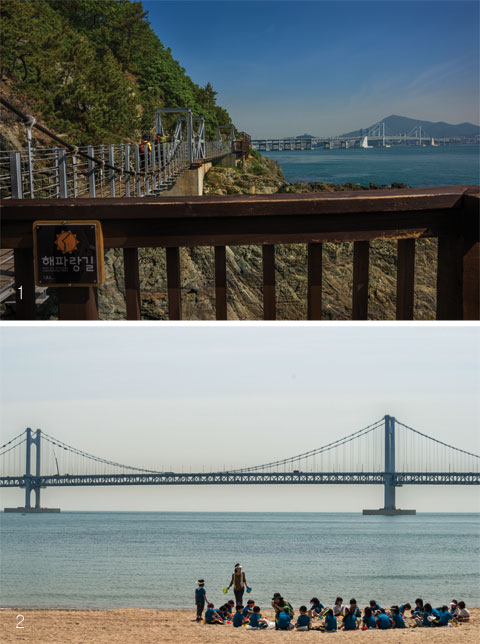 [특집 해파랑길 770km | 부산 구간 1~3코스] 이 길을 걷고 나면, 남은 728km도 마저 걷고 싶어진다 < Season Special < 테마산행 < 기사본문... 