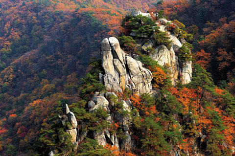 [남한땅 7정맥 (5) 한북정맥 | 개요] 수도권 관통하며 한강 북쪽 둘러싼 산줄기