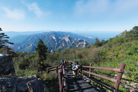 [명산 속 단풍 명화 찾기 | 설악산] 감각이 녹아내리는 황홀한 절대군주