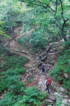 [명산 속 단풍 명화 찾기 | 설악산] 감각이 녹아내리는 황홀한 절대군주
