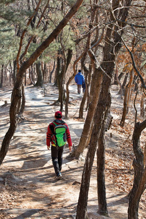 서울둘레길 1코스는 수락산의 걷기 좋은 숲을 따라 나있다.