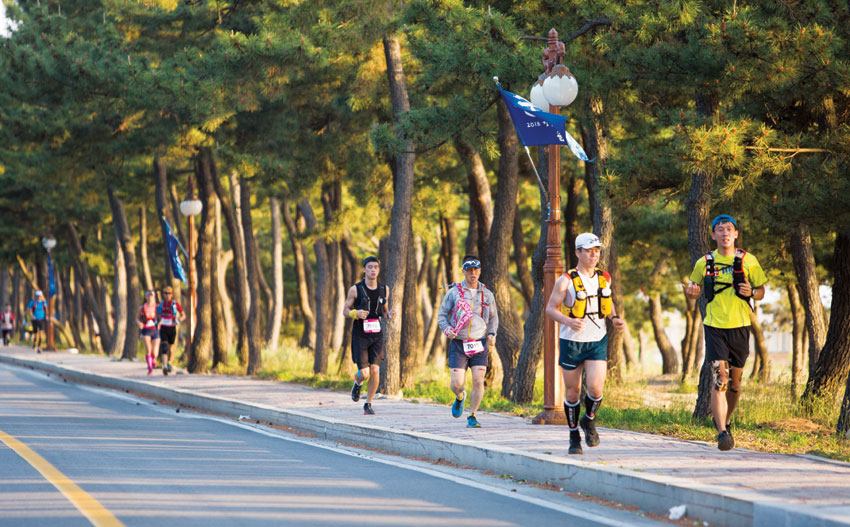 강릉 솔밭 옆 인도를 달리고 있는 ‘노스페이스 100 코리아’ 100km 부문 참가 선수들. 
