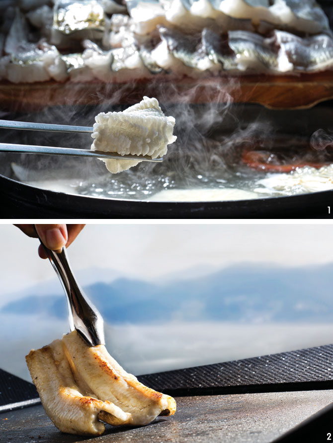 1 고흥반도가 있는 여수와 고흥 지역에서 맛볼 수 있는 갯장어 데침(하모 유비키). 2 5년 이상 된 붕장어를 철판에 구우면 스테이크처럼 두툼하고 맛이 진하다.