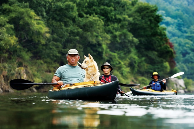 애완견과 함께 배를 타고 홍천강 카약 여행을 즐기고 있는 동호인.