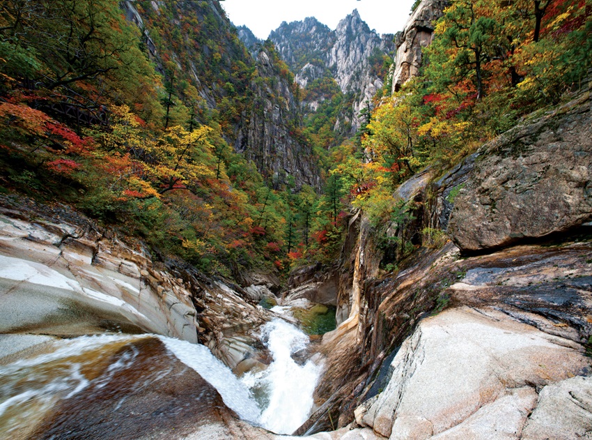 설악산 천불동 계곡에 가을이 물들어 간다. 
사진 국립공원관리공단 제공
