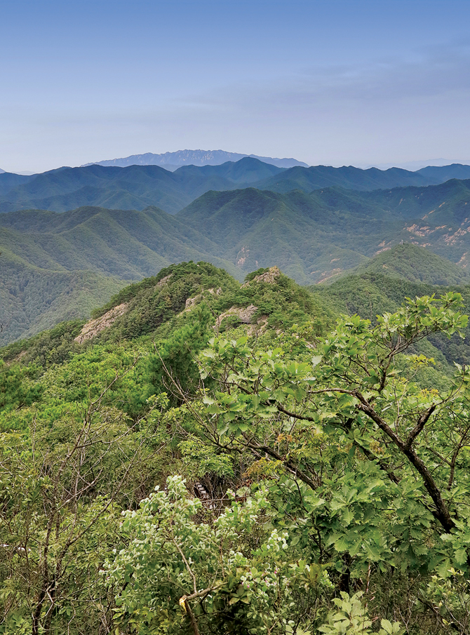 [특별부록지도 코스가이드 | 진악산] 인삼의 고장 비단뫼錦山의... [특별부록지도 코스가이드 | 진악산] 인삼의 고장 비단뫼錦山의 진산