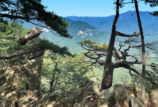 구봉대산