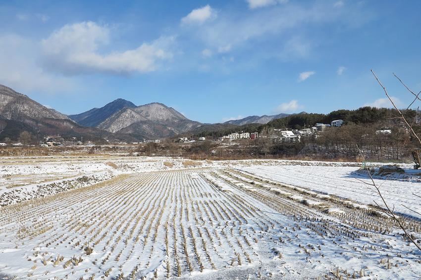용문산~송이재봉~금물산 성지봉 한강기맥 펼쳐지는 조망 일품 < Season... 도일봉] 용문산~송이재봉~금물산 성지봉 한강기맥 펼쳐지는 조망 일품