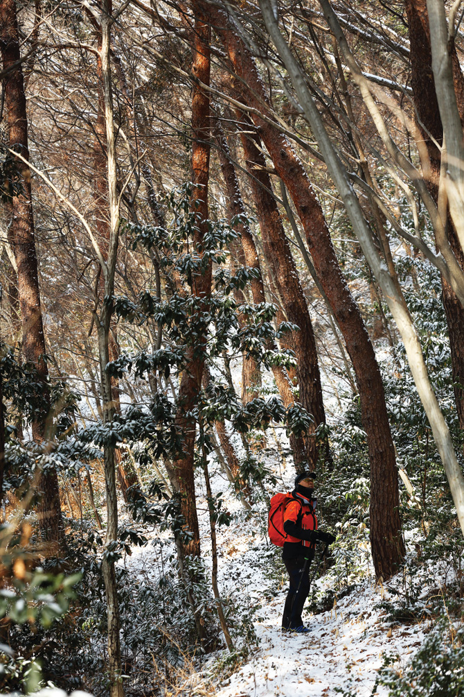 나뭇잎에 하얀 눈이 쌓인 상록수를 구경하며 백련사 뒤편의 만덕산을 올랐다. 