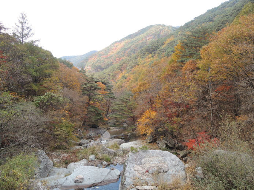 산행가이드] 달기폭포 품은 주왕산국립공원의 최고봉] < Season Special... 태행산 산행가이드] 달기폭포 품은 주왕산국립공원의 최고봉]