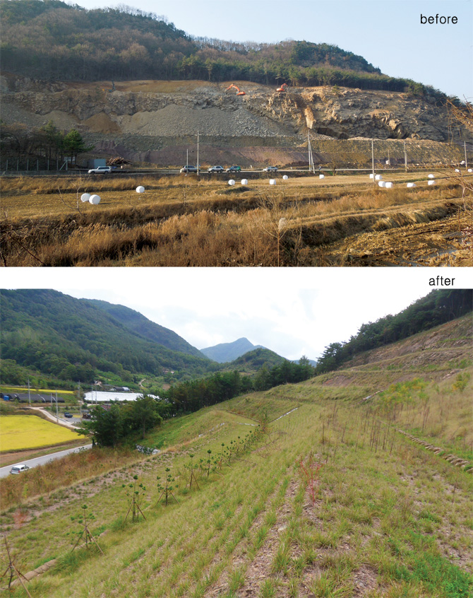 산림청이 충북 영동에서 대규모 복원 사업을 하기 전과 후의 모습. / 사진 산림청   