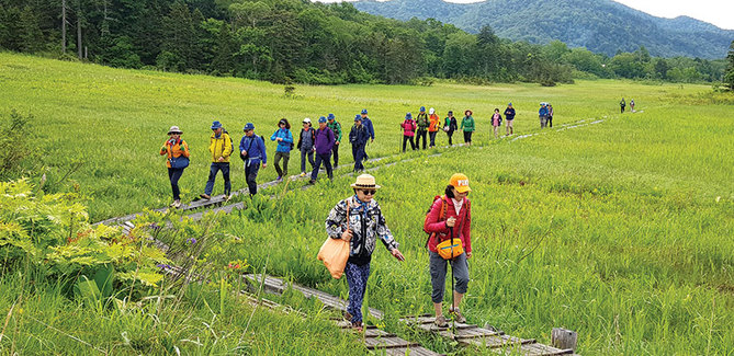 편안한 발걸음으로 오제 습원을 걷는 탐방객들. 