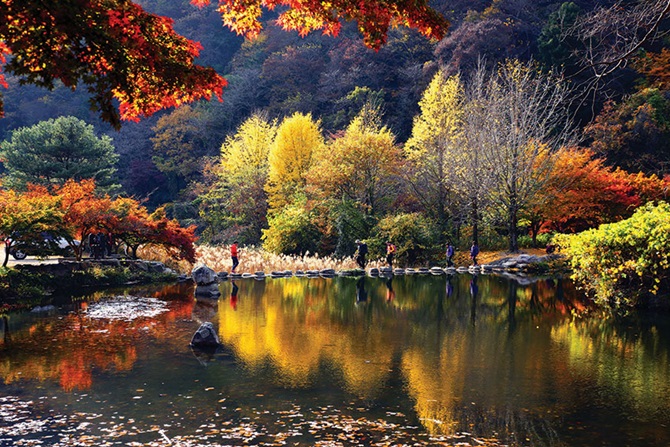 [기록에 전하는 단풍 명산 | 3선 가이드 ②내장산] 조선 史庫 비사 간직한 內藏山