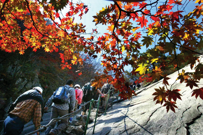 [전국 단풍 명산 ｜10선 가이드 ②북한산] 칼바위 능선에서 바위산 단풍 조망