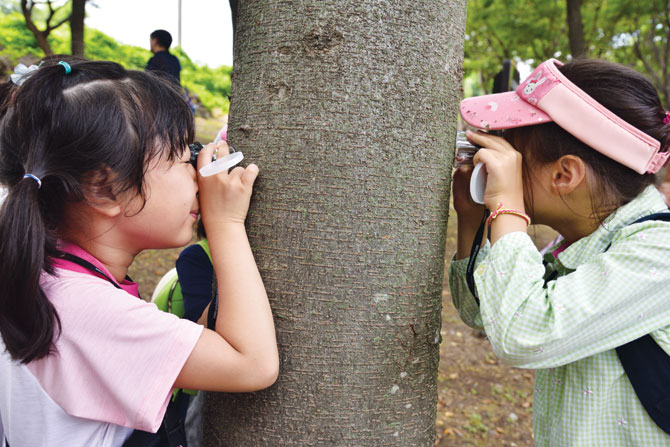 심각한 표정으로 나무의 표피를 관찰하는 아이들.