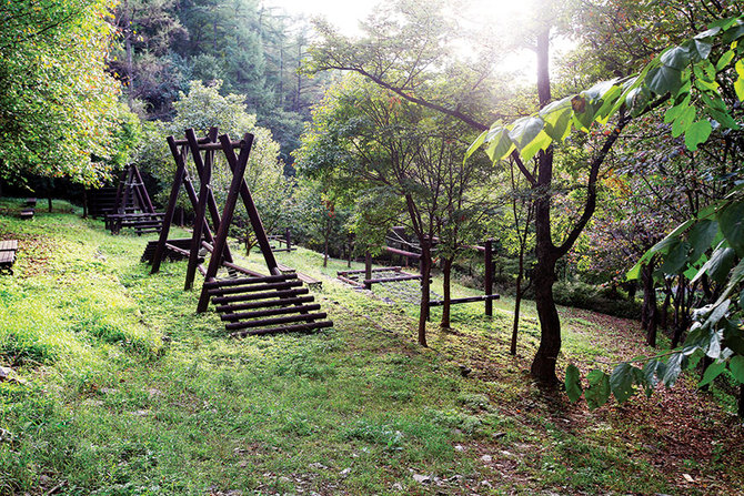 자연휴양림에서 운영하는 숲속 모험시설.
