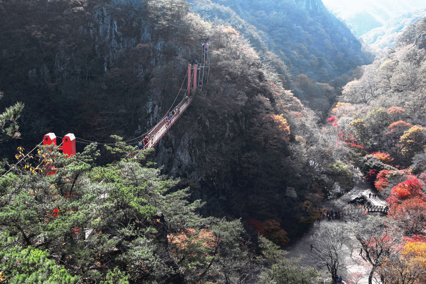 왕자봉으로 오르는 등산로에서 바라본 현수교 양편으로 애기단풍이 아름답게 물들어 있다.