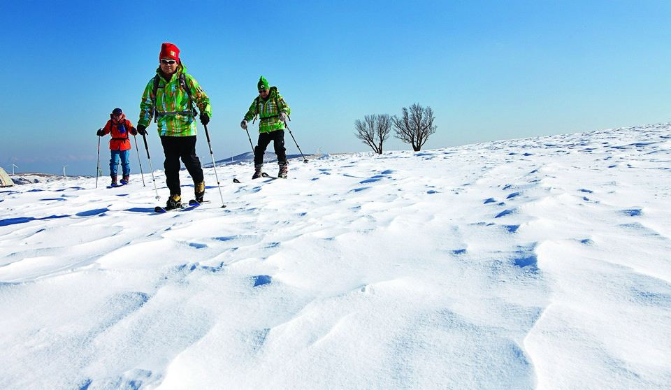 대관령 목장지대의 광활한 설원에서 산악스키를 타며 겨울을 즐기고 있는 아웃도어 마니아들.