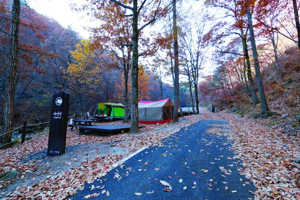 낙엽이 내린 캠핑장. 겨울철에는 이 위에 눈이 덮일 것이다.