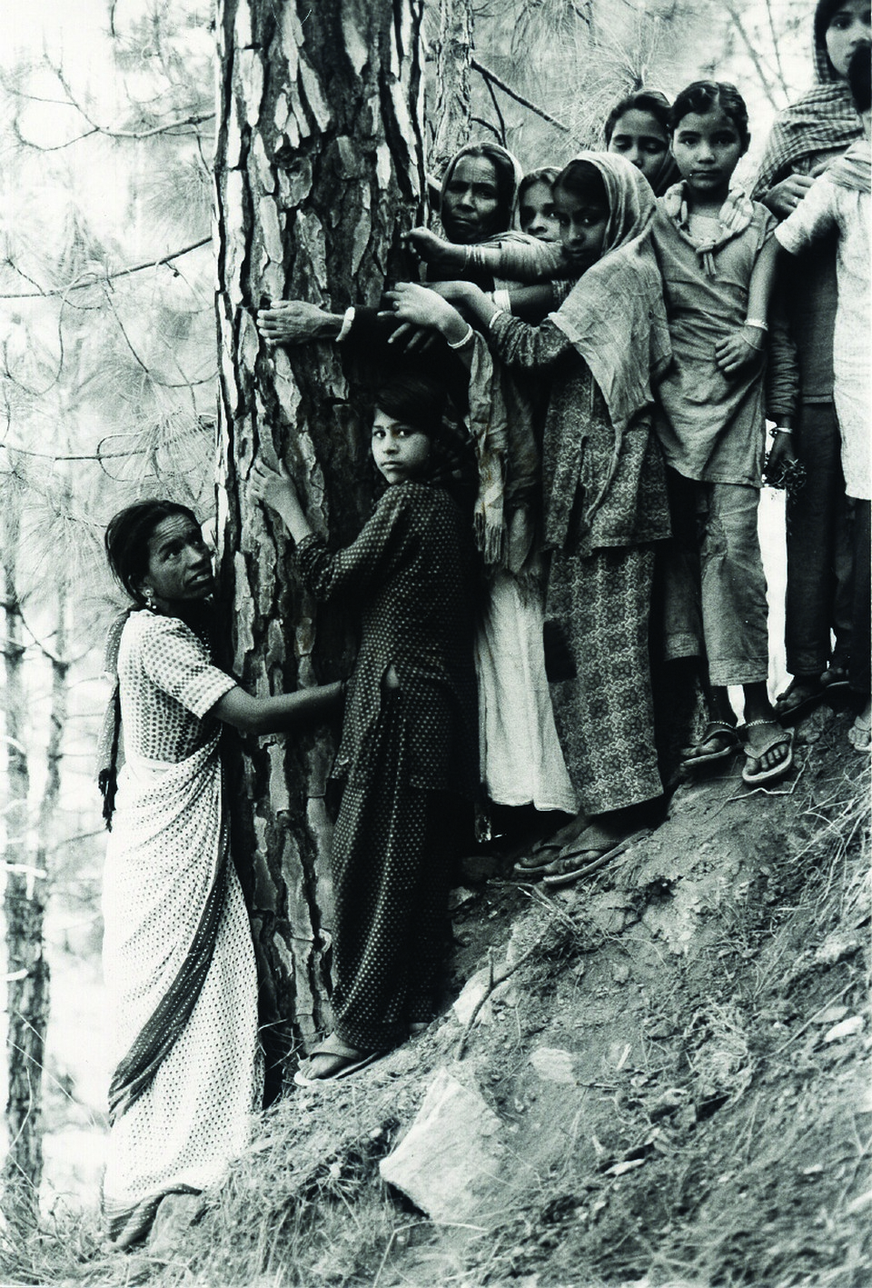 칩코 운동으로 나무를 껴안은 가르왈히말라야의 여성과 아이들.