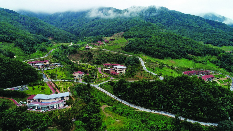 국립산림치유원 주치마을 전경.