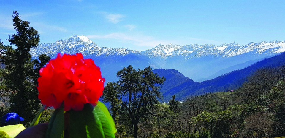 베이스캠프 카라반 중에
본 네팔 국화 날리구라스와
히말라야 연봉.