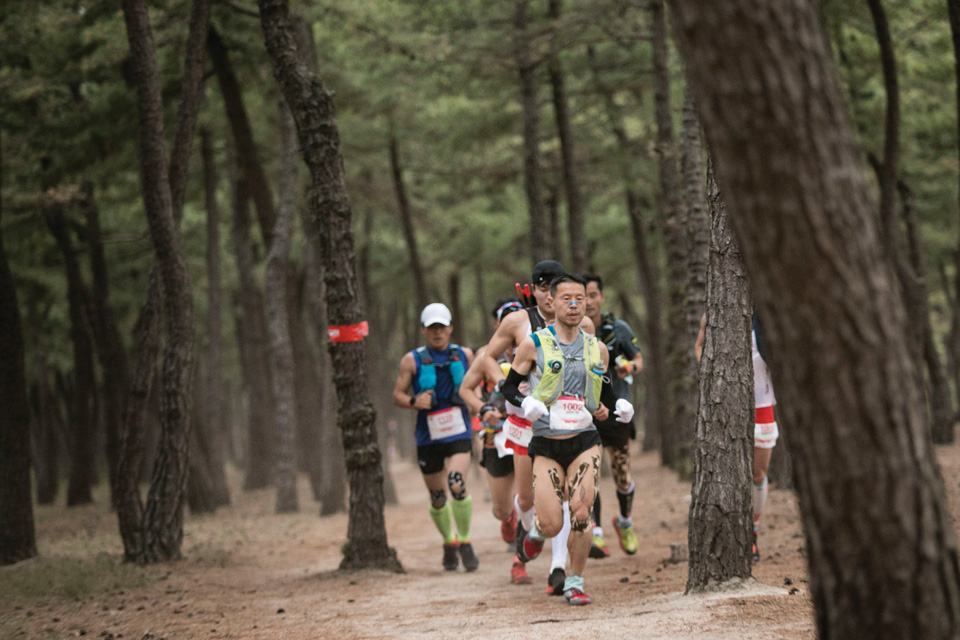 100km 부문 참가 선수들이
소나무숲을 달리고 있다.
가장 선두에 선 심재덕 선수가
우승했다.