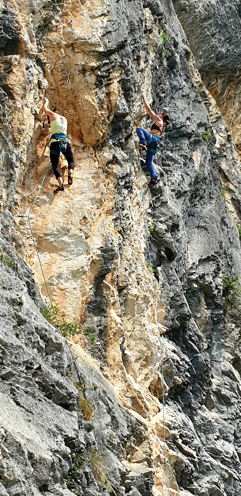 마쏘네 1암장에서
등반을 즐기는
이탈리아와 독일 여성
클라이머.