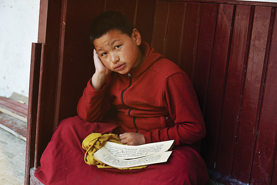 새벽에 불경을 외고 있는 마파콤파의 어린 라마승.