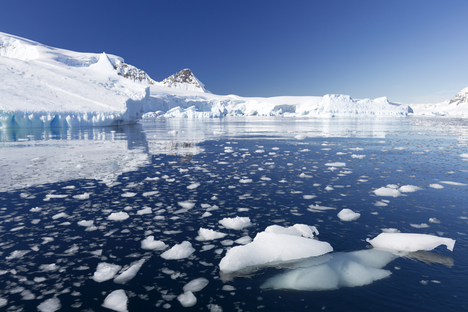 녹은 남극의 빙하 잔해가 바다에 떠다니고 있다. 사진 셔터스톡