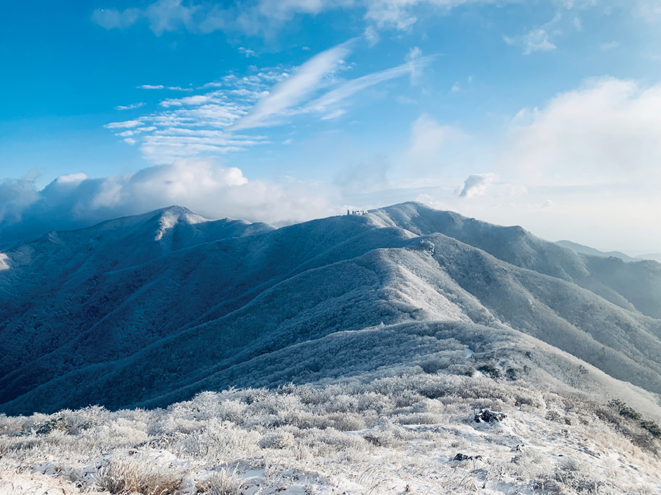 [감동산행기] 1년차 공단 직원이 바라본 소백산 < 마운틴뉴스 < 산사람&산뉴스 < 기사본문 - 월간산 [감동산행기] 1년차 공단 직원이 바라본 소백산