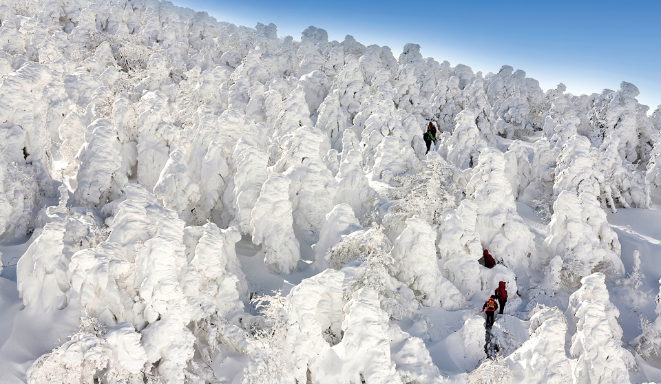 5. 한라산 - 남한에서 가장 눈이 많은 산이다. 겨울 가뭄이 심해 육지에는 눈이 없어도 겨울 한라산에서는 설경을 감상할 수 있다.