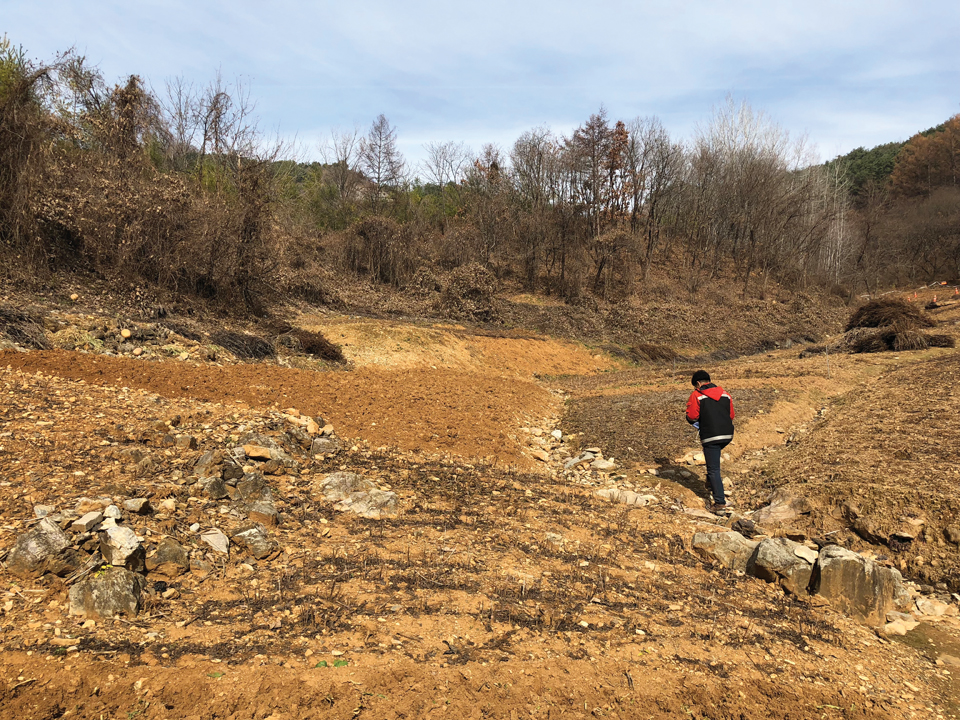 정선지역 국유림 내 불법산림훼손 지역을 산림청 직원들이 조사하고 있다. 사진 산림청.
