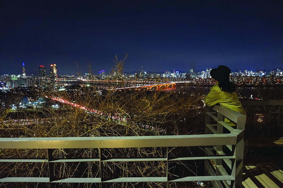 응봉산으로 오르는 도중 울타리에 기대 서울의 야경을 감상하고 있다.