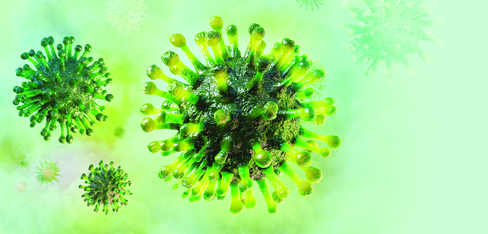 호흡기 감염병의 원인인 코로나19 바이러스 이미지.