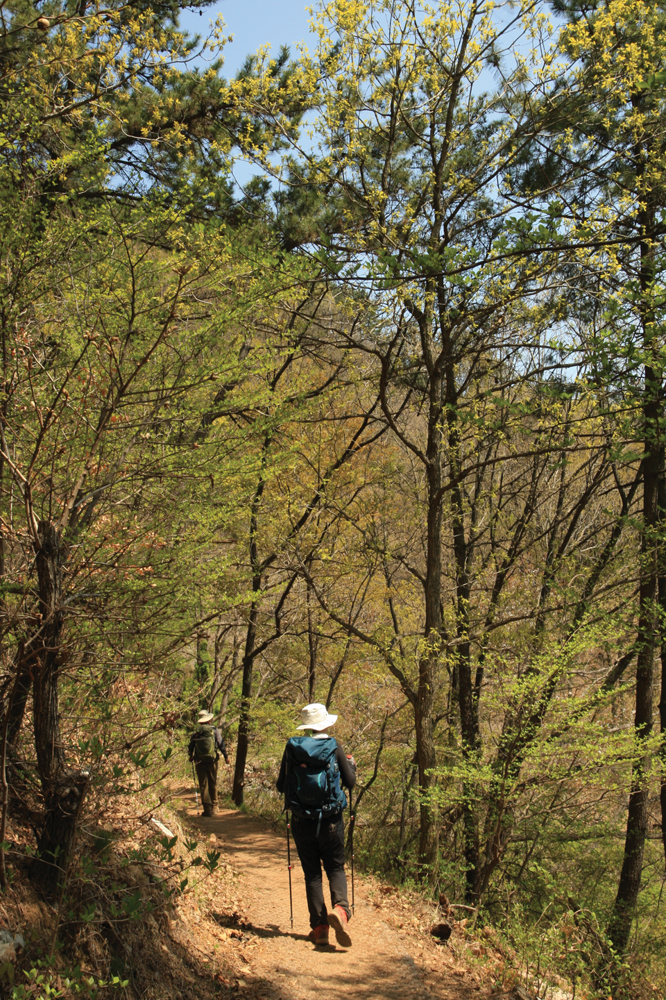 천주산 누리길은 정비된 숲길이 싱그러운 초록의 그늘 아래로 편안하게 이어진다.