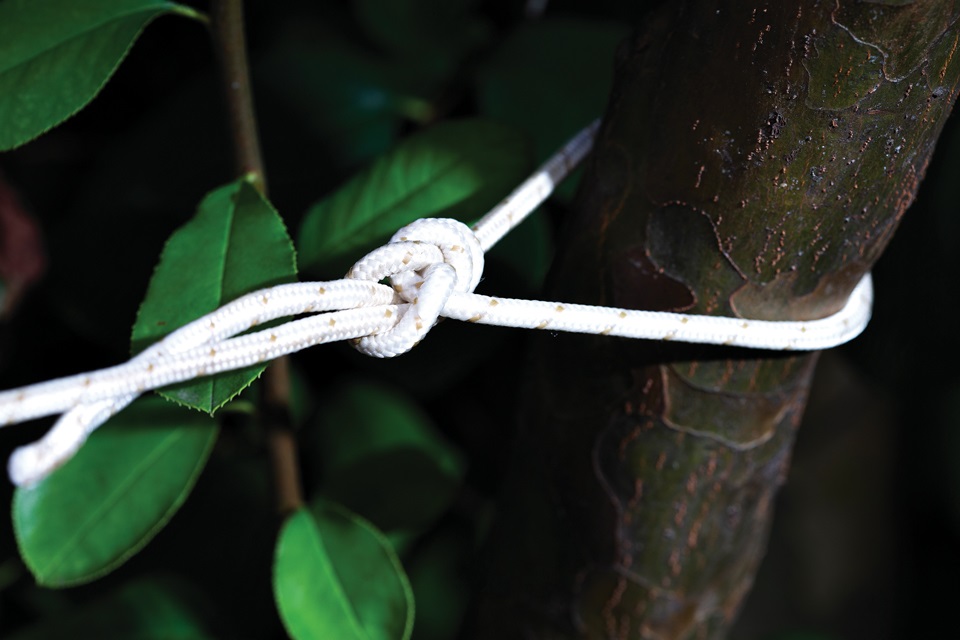 보울라인 매듭을 활용해 나무에 끈을 고정시켰다.