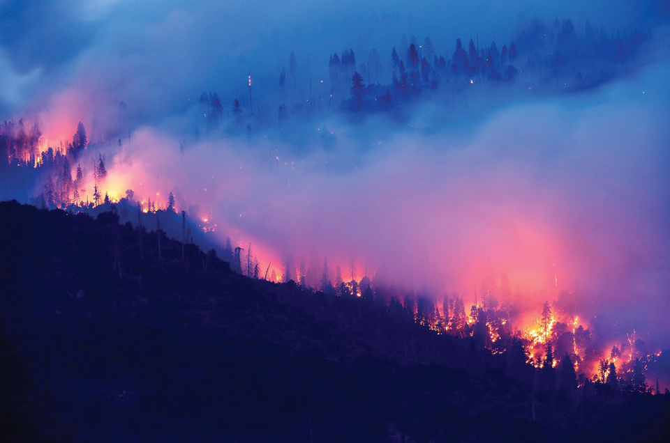 시에라네바다산맥을 뒤덮은 크릭 산불. 사진 노아 버거