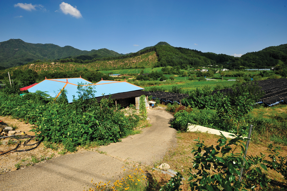 홍천의 산촌 마을인 신봉리 모습. 