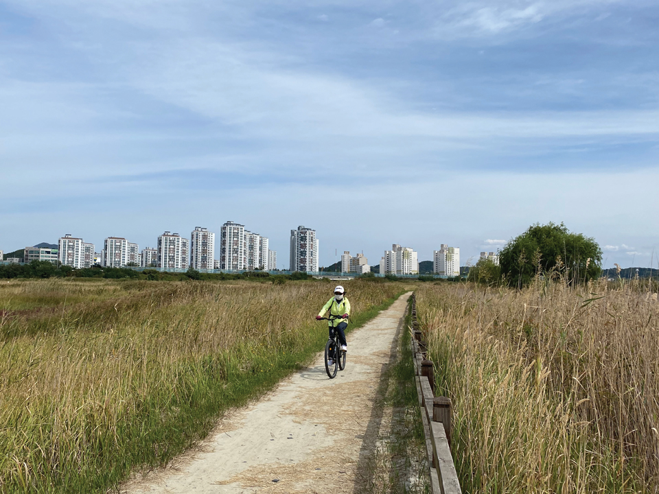 소래생태습지공원에서 자연친화적인 흙길을 자전거로 달리고 있다. 
이 길은 소래포구까지 이어진다.